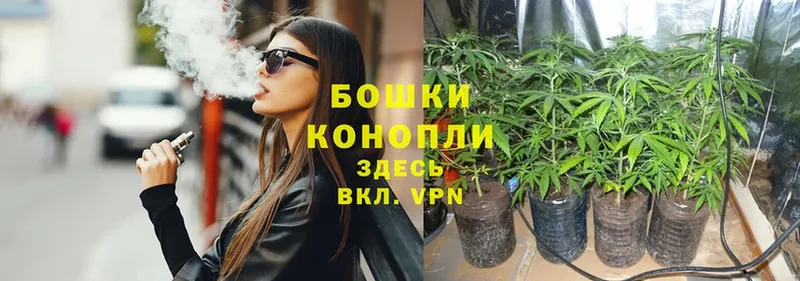 купить закладку  Дедовск  Марихуана LSD WEED 